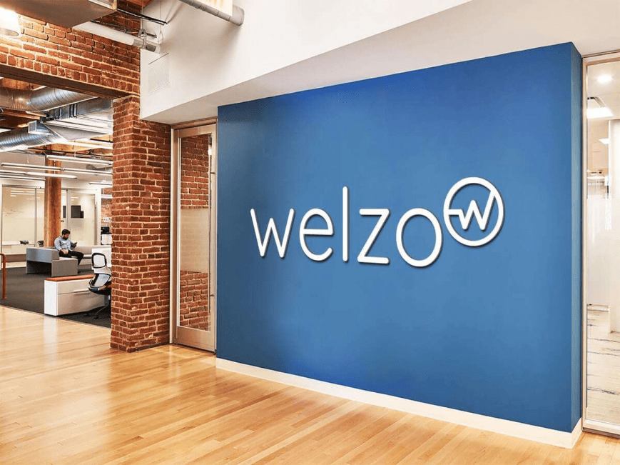 Welzo and Its Diverse Services